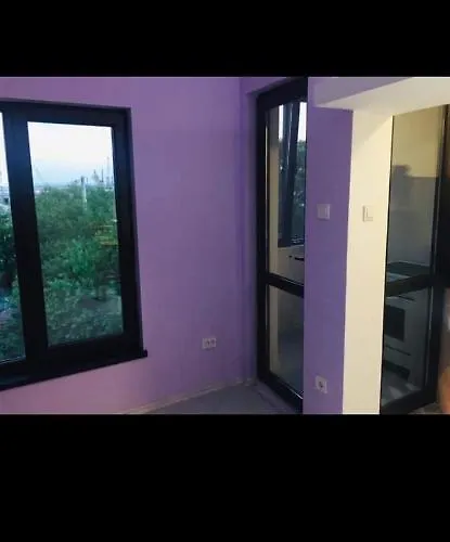 съншайн ブルガス